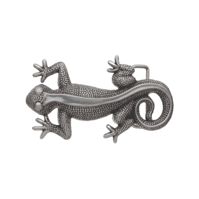 | Gecko silver